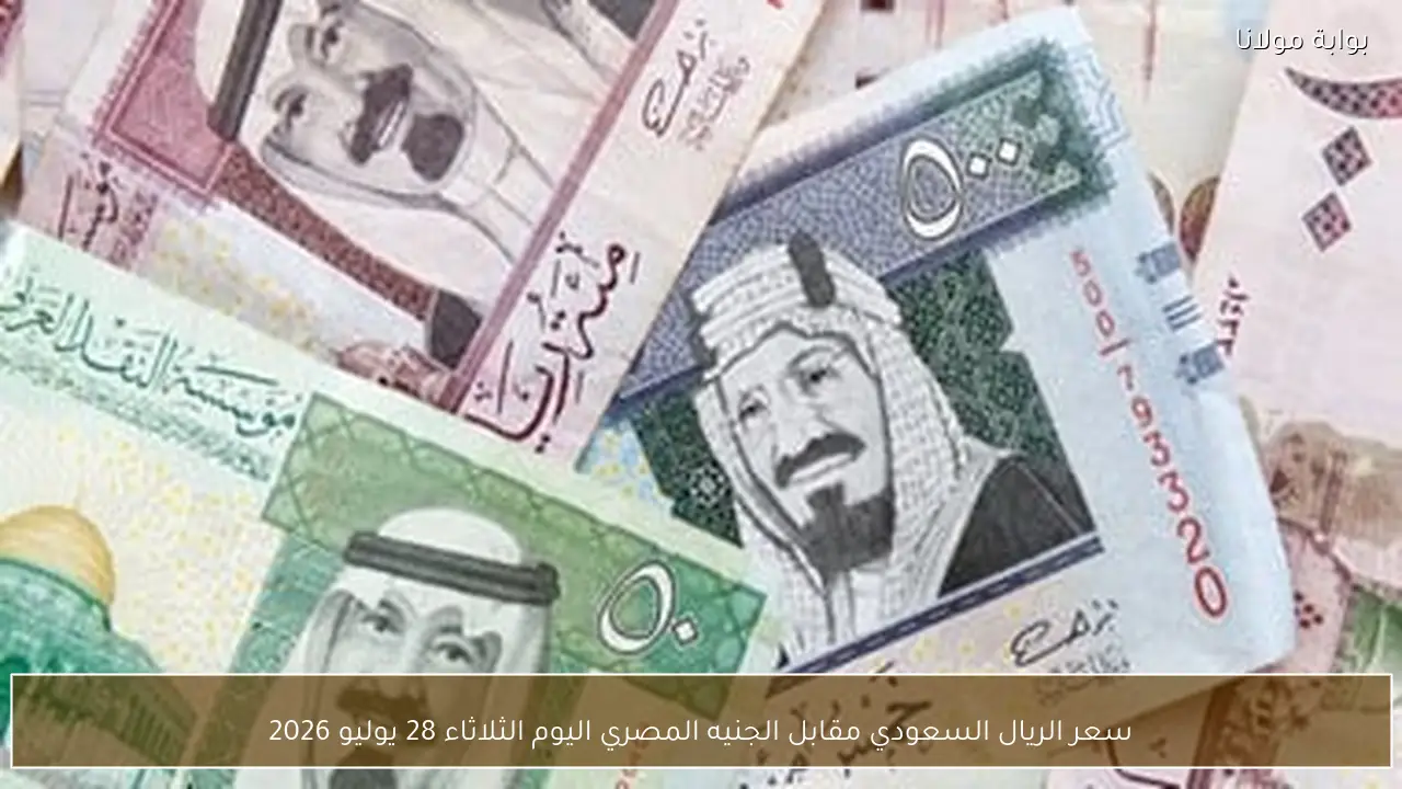 سعر الريال السعودي مقابل الجنيه المصري اليوم الثلاثاء 28 يوليو 2026