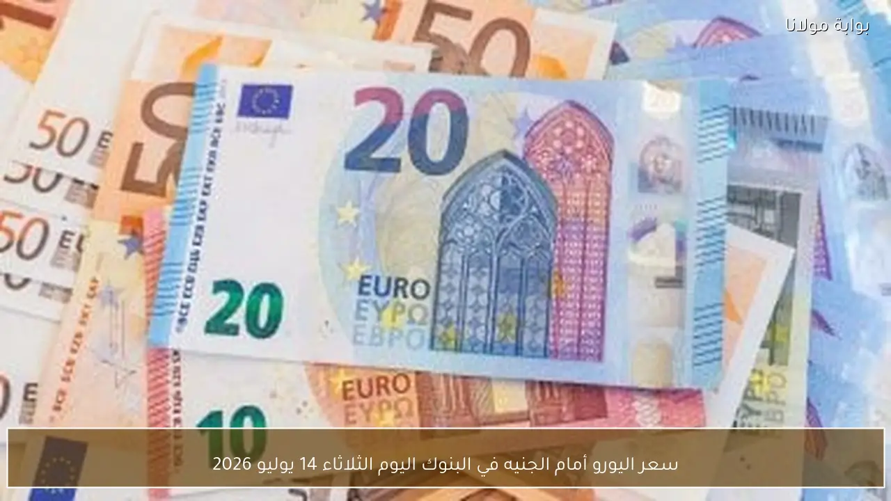 سعر اليورو أمام الجنيه في البنوك اليوم الثلاثاء 14 يوليو 2026