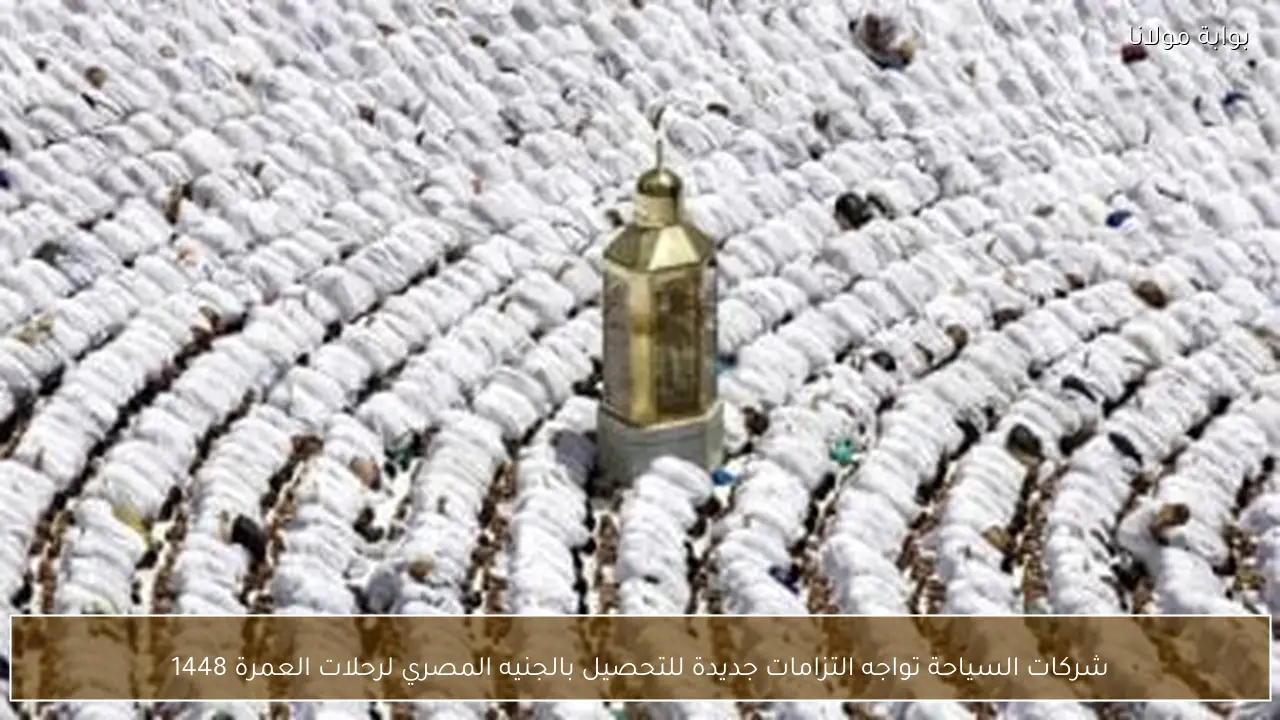 شركات السياحة تواجه التزامات جديدة للتحصيل بالجنيه المصري لرحلات العمرة 1448