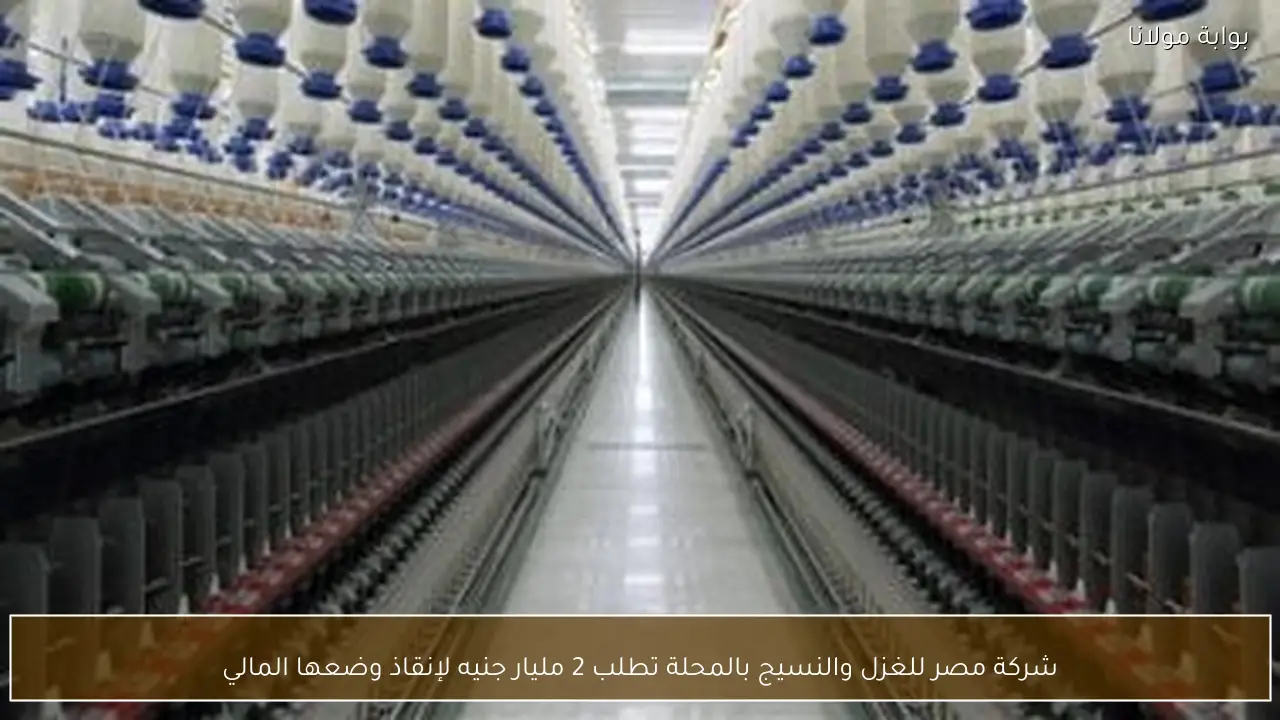 شركة مصر للغزل والنسيج بالمحلة تطلب 2 مليار جنيه لإنقاذ وضعها المالي