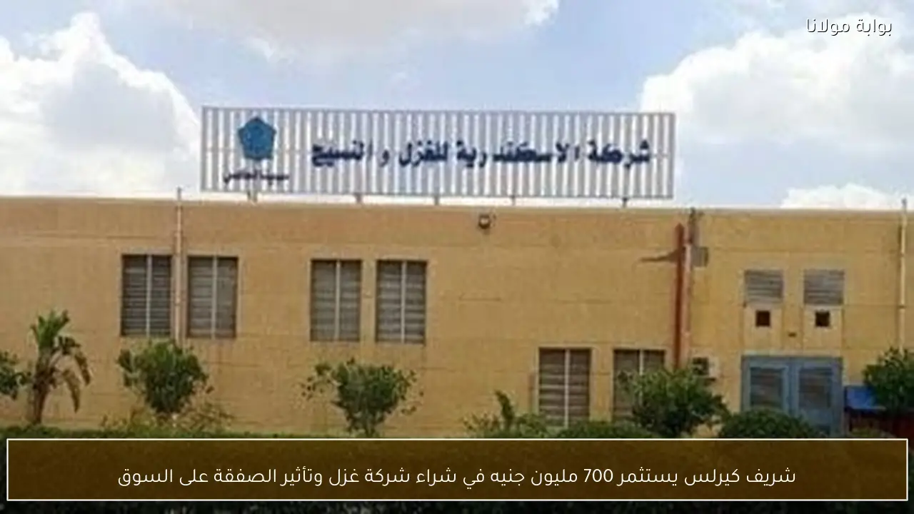 شريف كيرلس يستثمر 700 مليون جنيه في شراء شركة غزل وتأثير الصفقة على السوق