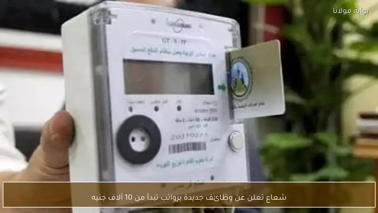 شعاع تعلن عن وظائف جديدة برواتب تبدأ من 10 آلاف جنيه