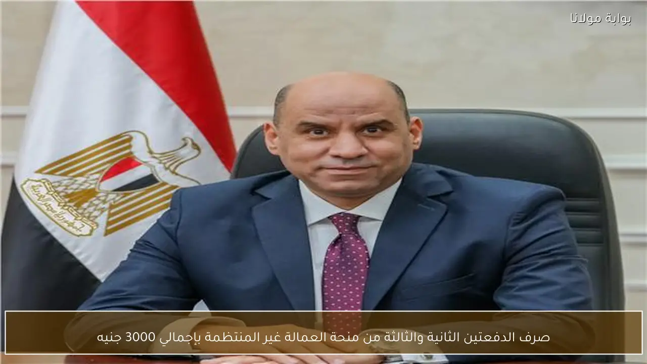 صرف الدفعتين الثانية والثالثة من منحة العمالة غير المنتظمة بإجمالي 3000 جنيه