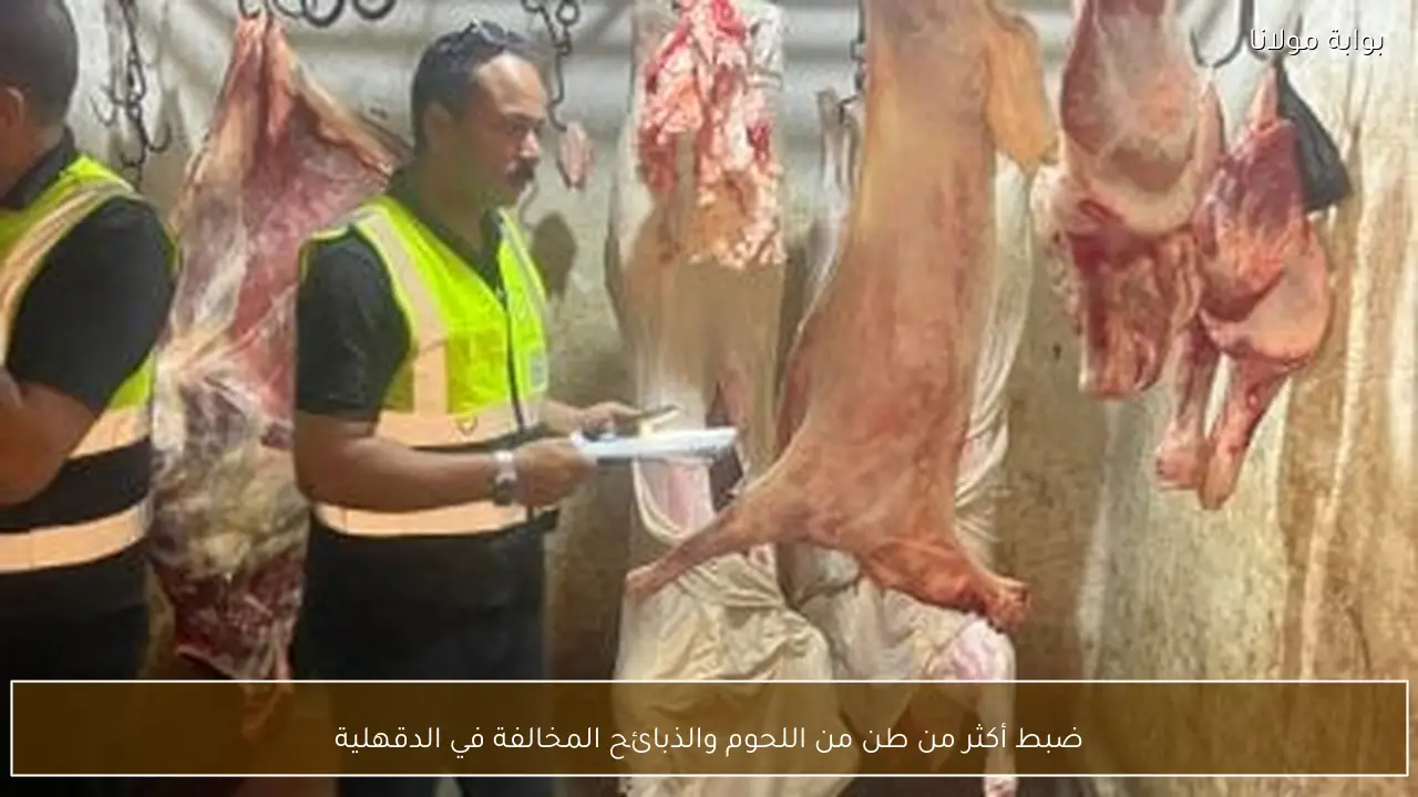 ضبط أكثر من طن من اللحوم والذبائح المخالفة في الدقهلية