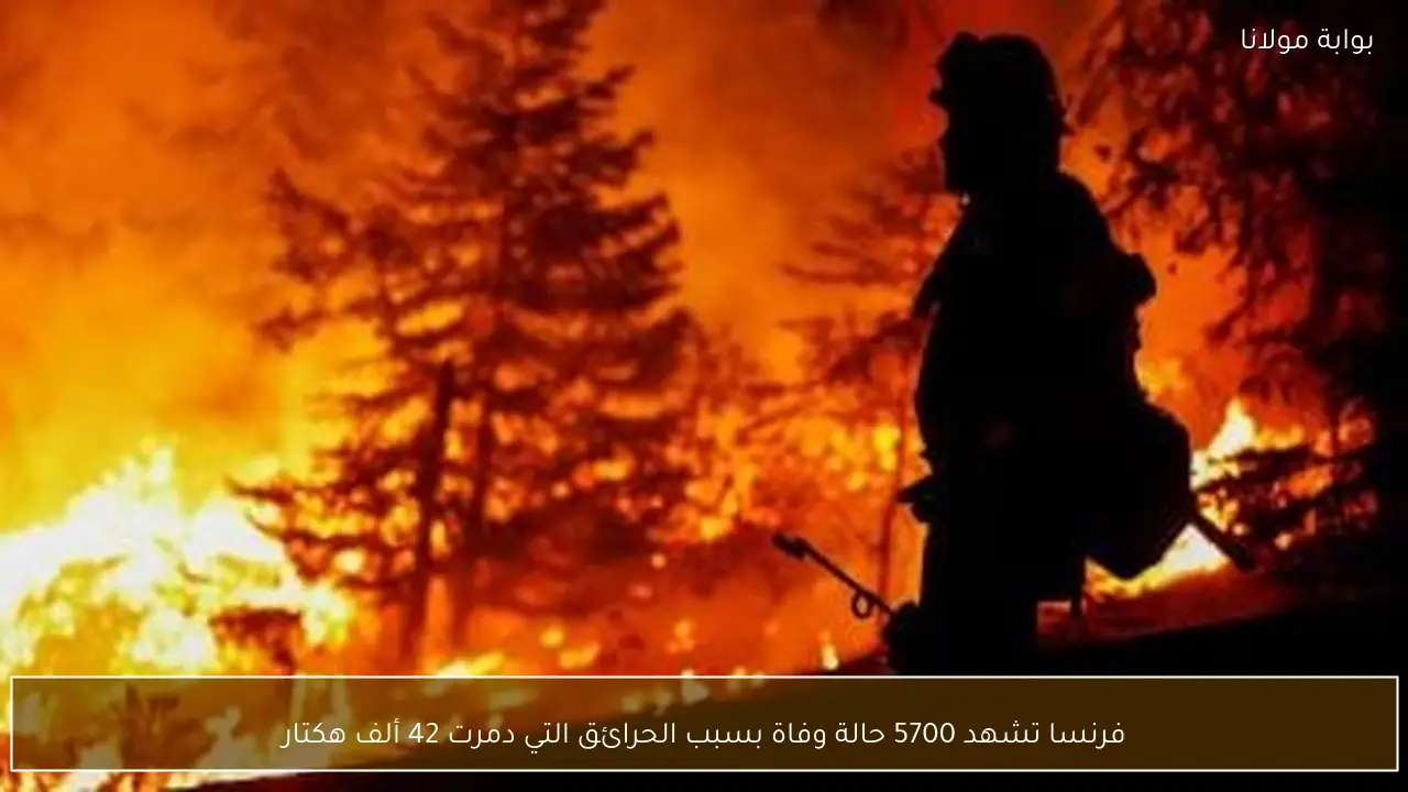 فرنسا تشهد 5700 حالة وفاة بسبب الحرائق التي دمرت 42 ألف هكتار