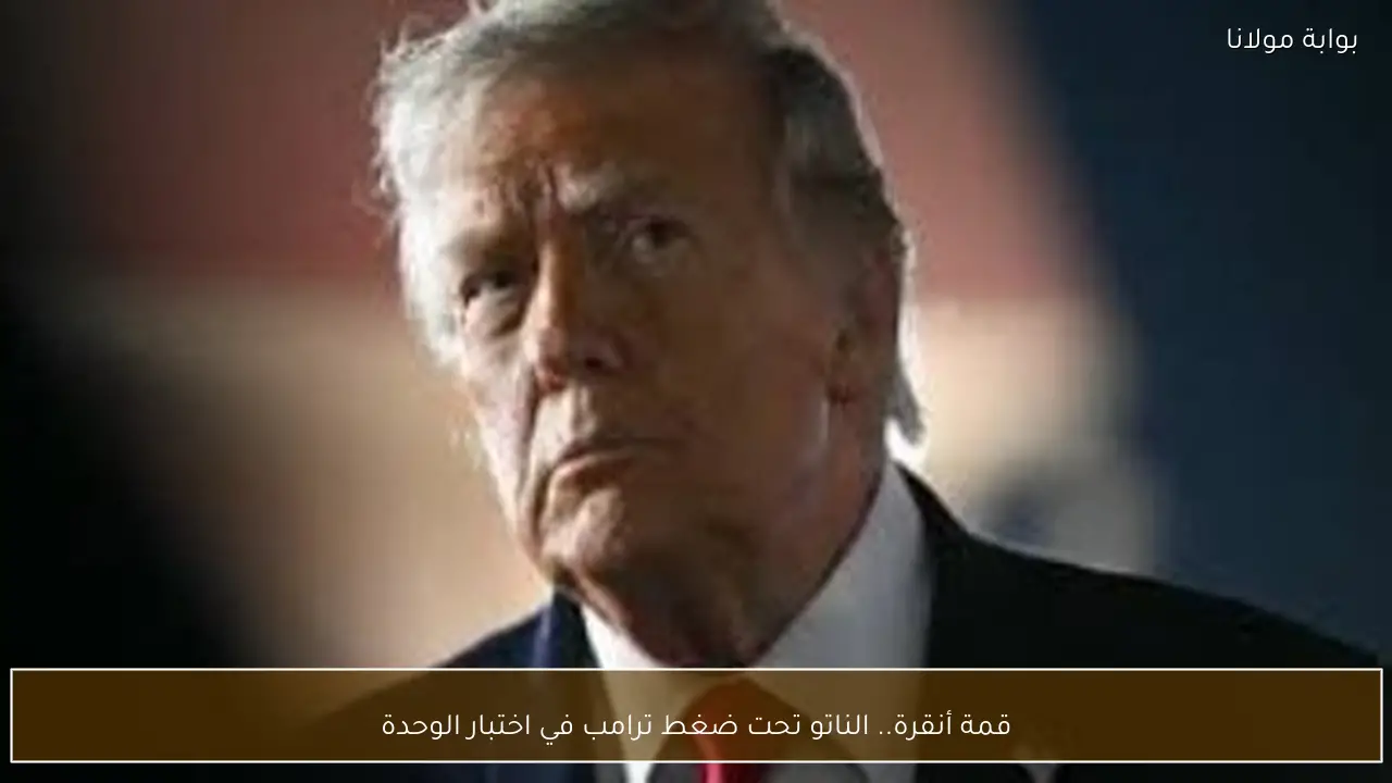 قمة أنقرة.. الناتو تحت ضغط ترامب في اختبار الوحدة