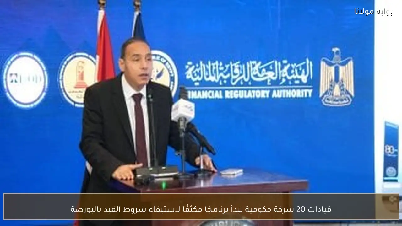 قيادات 20 شركة حكومية تبدأ برنامجًا مكثفًا لاستيفاء شروط القيد بالبورصة