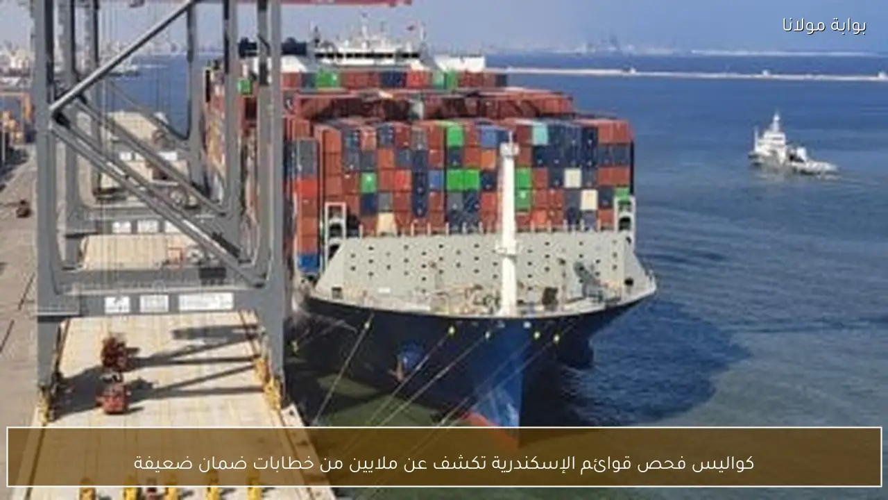 كواليس فحص قوائم الإسكندرية تكشف عن ملايين من خطابات ضمان ضعيفة