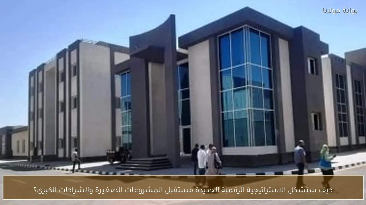 كيف ستشكل الاستراتيجية الرقمية الجديدة مستقبل المشروعات الصغيرة والشراكات الكبرى؟