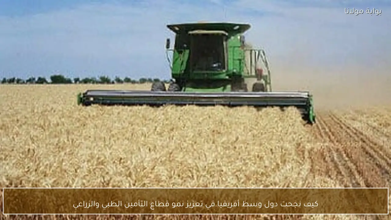 كيف نجحت دول وسط أفريقيا في تعزيز نمو قطاع التأمين الطبي والزراعي