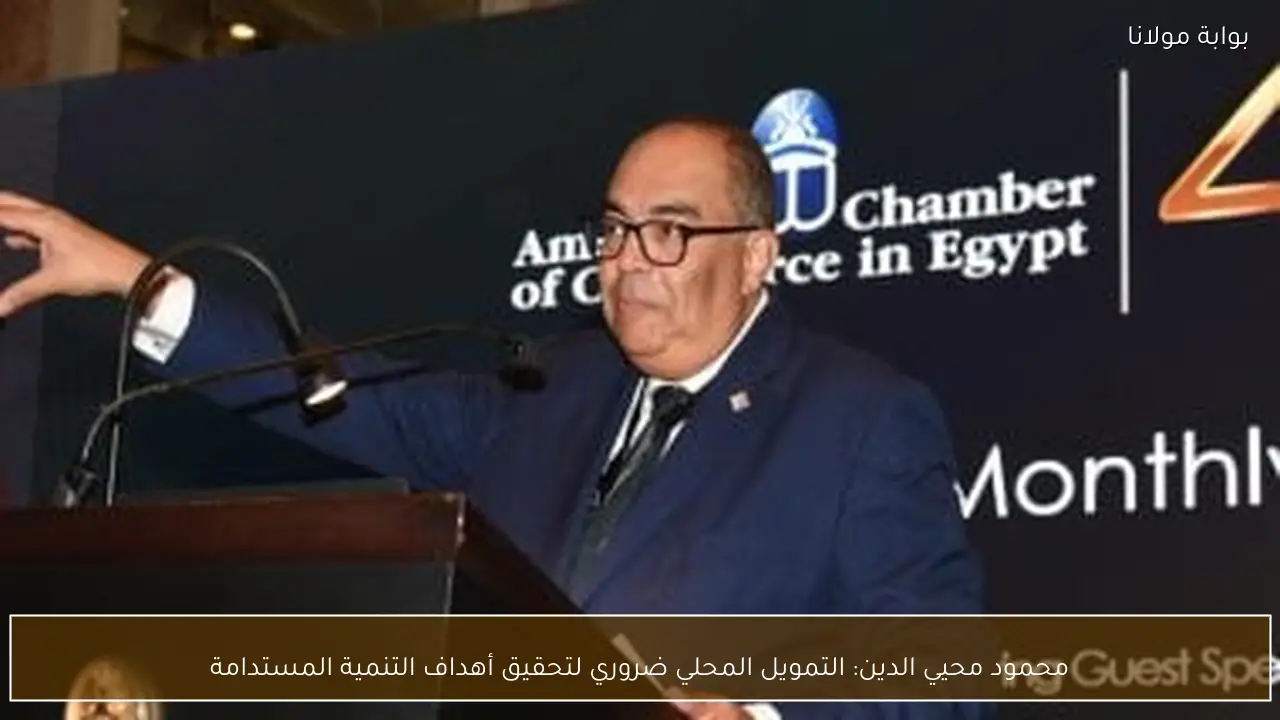 محمود محيي الدين: التمويل المحلي ضروري لتحقيق أهداف التنمية المستدامة