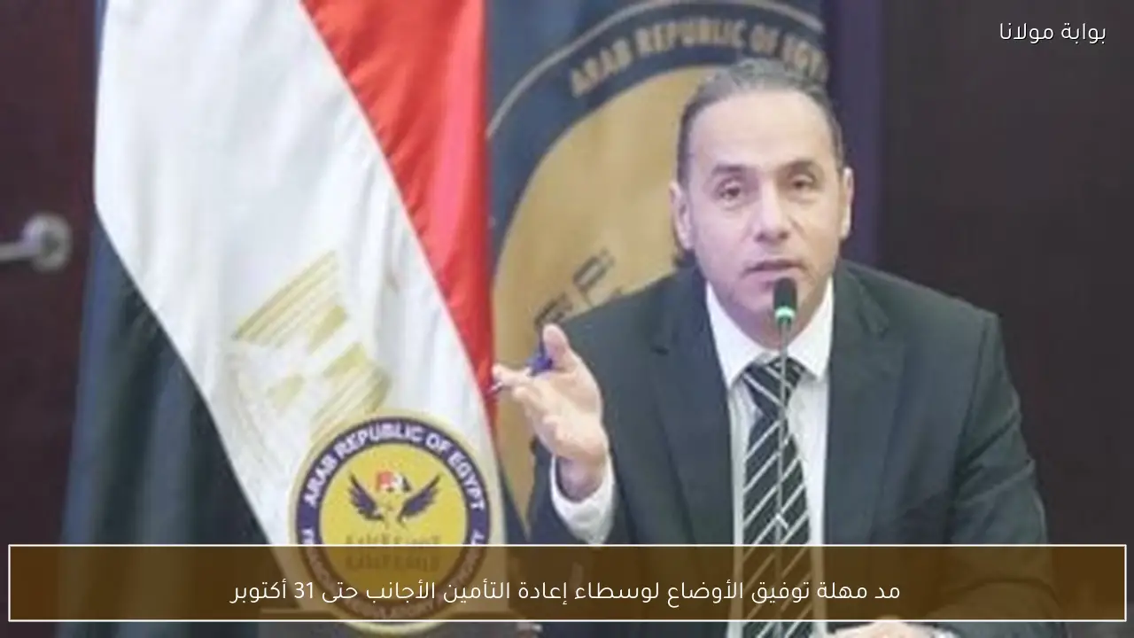 مد مهلة توفيق الأوضاع لوسطاء إعادة التأمين الأجانب حتى 31 أكتوبر
