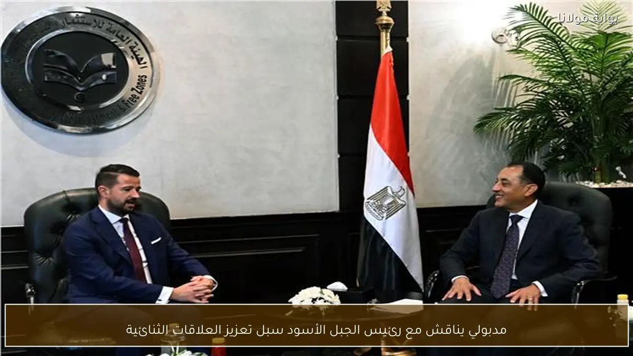 مدبولي يناقش مع رئيس الجبل الأسود سبل تعزيز العلاقات الثنائية