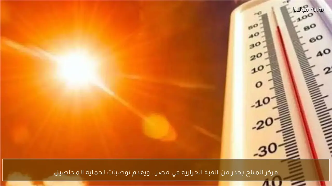 مركز المناخ يحذر من القبة الحرارية في مصر.. ويقدم توصيات لحماية المحاصيل