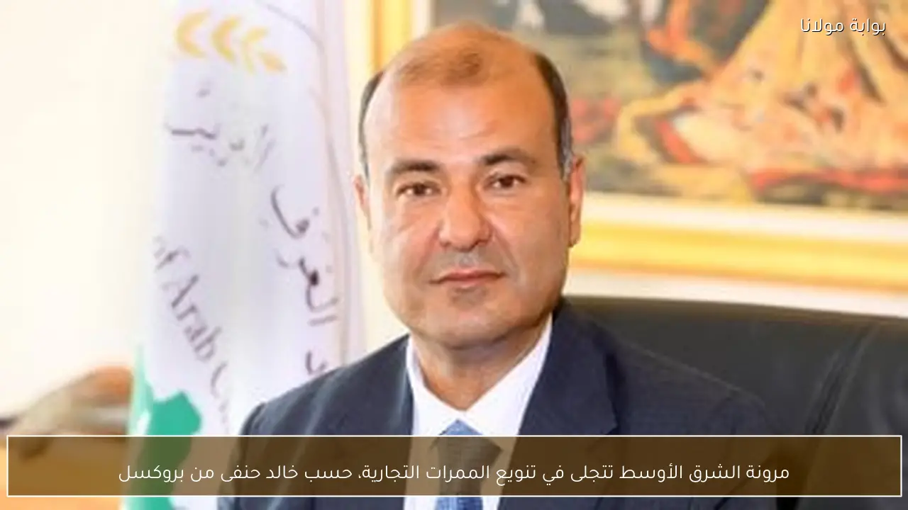 مرونة الشرق الأوسط تتجلى في تنويع الممرات التجارية، حسب خالد حنفى من بروكسل