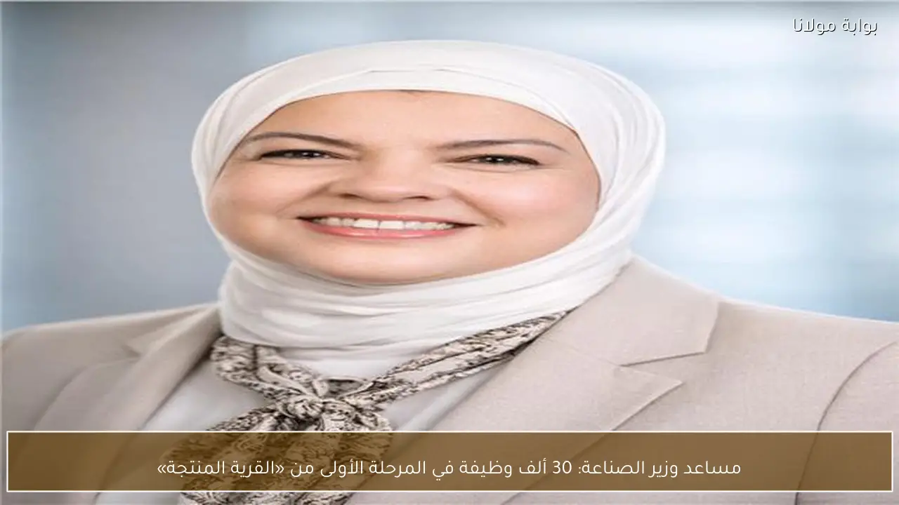 مساعد وزير الصناعة: 30 ألف وظيفة في المرحلة الأولى من «القرية المنتجة»