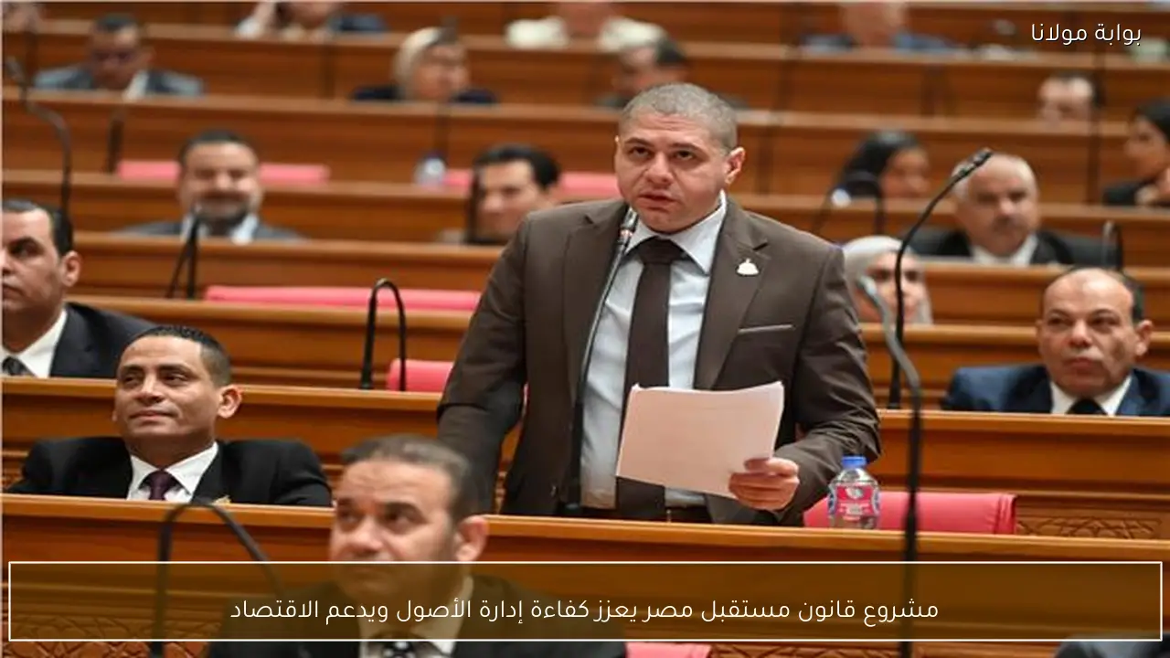 مشروع قانون مستقبل مصر يعزز كفاءة إدارة الأصول ويدعم الاقتصاد