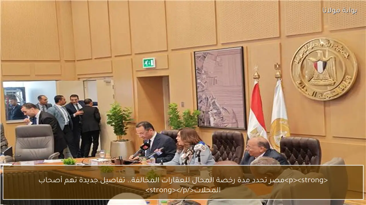<p><strong>مصر تحدد مدة رخصة المحال للعقارات المخالفة.. تفاصيل جديدة تهم أصحاب المحلات</strong></p>