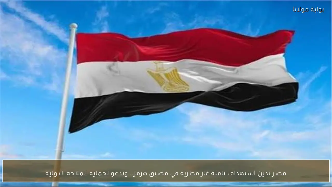 مصر تدين استهداف ناقلة غاز قطرية في مضيق هرمز.. وتدعو لحماية الملاحة الدولية