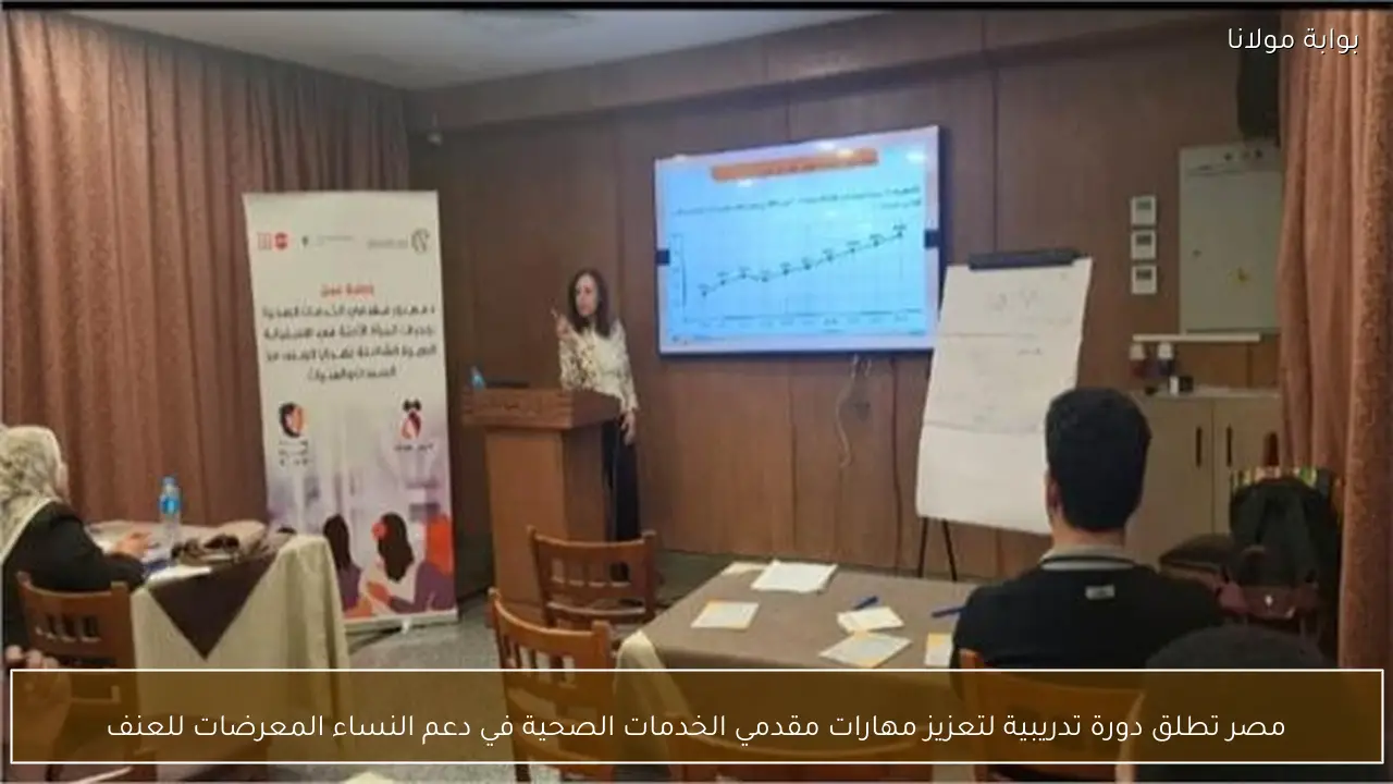 مصر تطلق دورة تدريبية لتعزيز مهارات مقدمي الخدمات الصحية في دعم النساء المعرضات للعنف