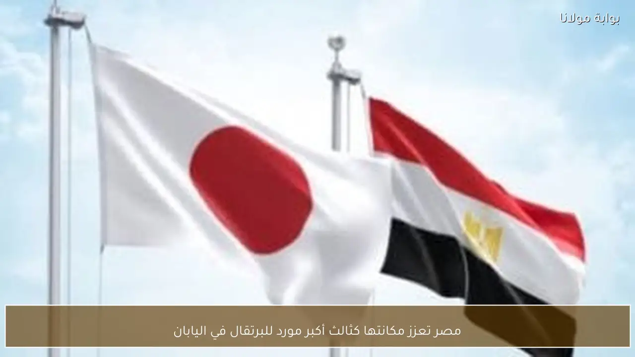 مصر تعزز مكانتها كثالث أكبر مورد للبرتقال في اليابان