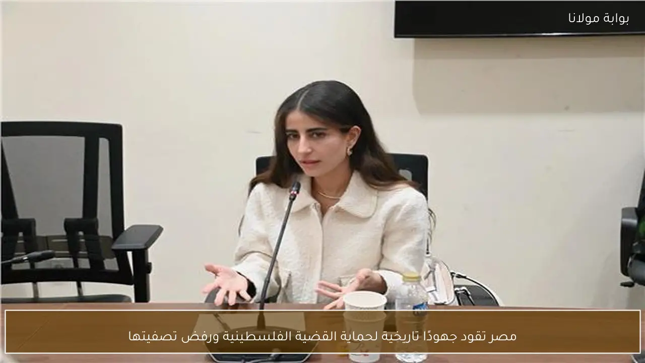مصر تقود جهودًا تاريخية لحماية القضية الفلسطينية ورفض تصفيتها