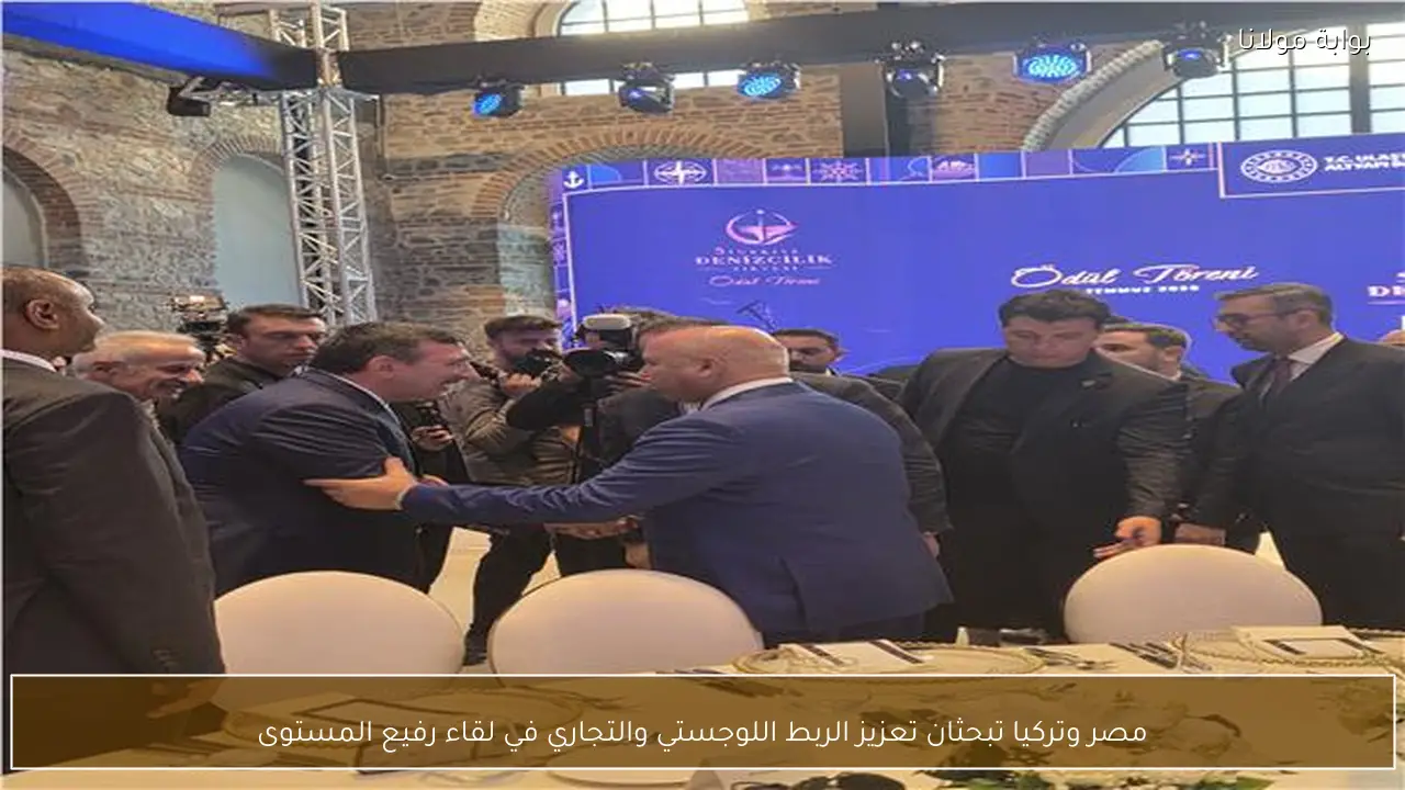 مصر وتركيا تبحثان تعزيز الربط اللوجستي والتجاري في لقاء رفيع المستوى