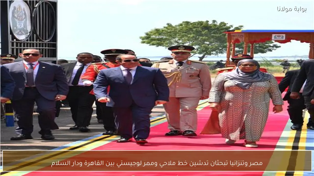 مصر وتنزانيا تبحثان تدشين خط ملاحي وممر لوجيستي بين القاهرة ودار السلام