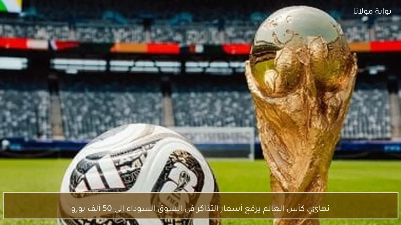 نهائي كأس العالم يرفع أسعار التذاكر في السوق السوداء إلى 50 ألف يورو