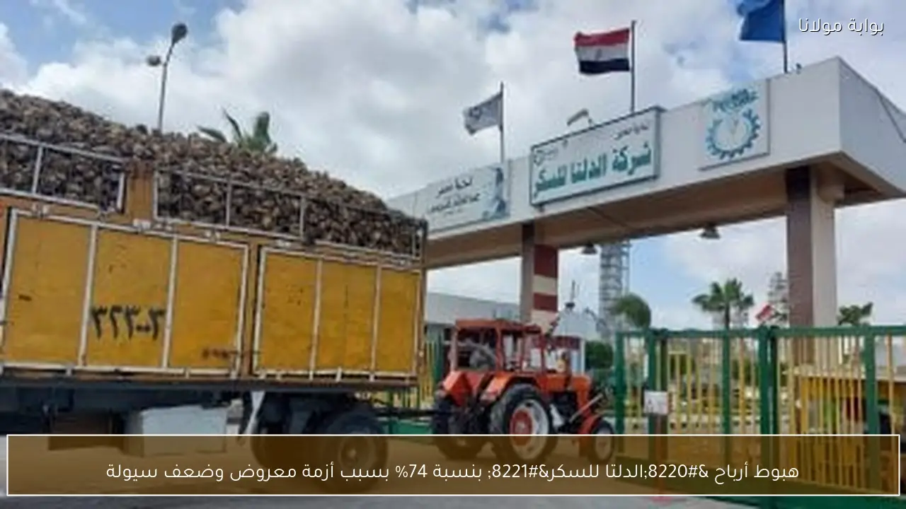 هبوط أرباح “الدلتا للسكر” بنسبة 74% بسبب أزمة معروض وضعف سيولة