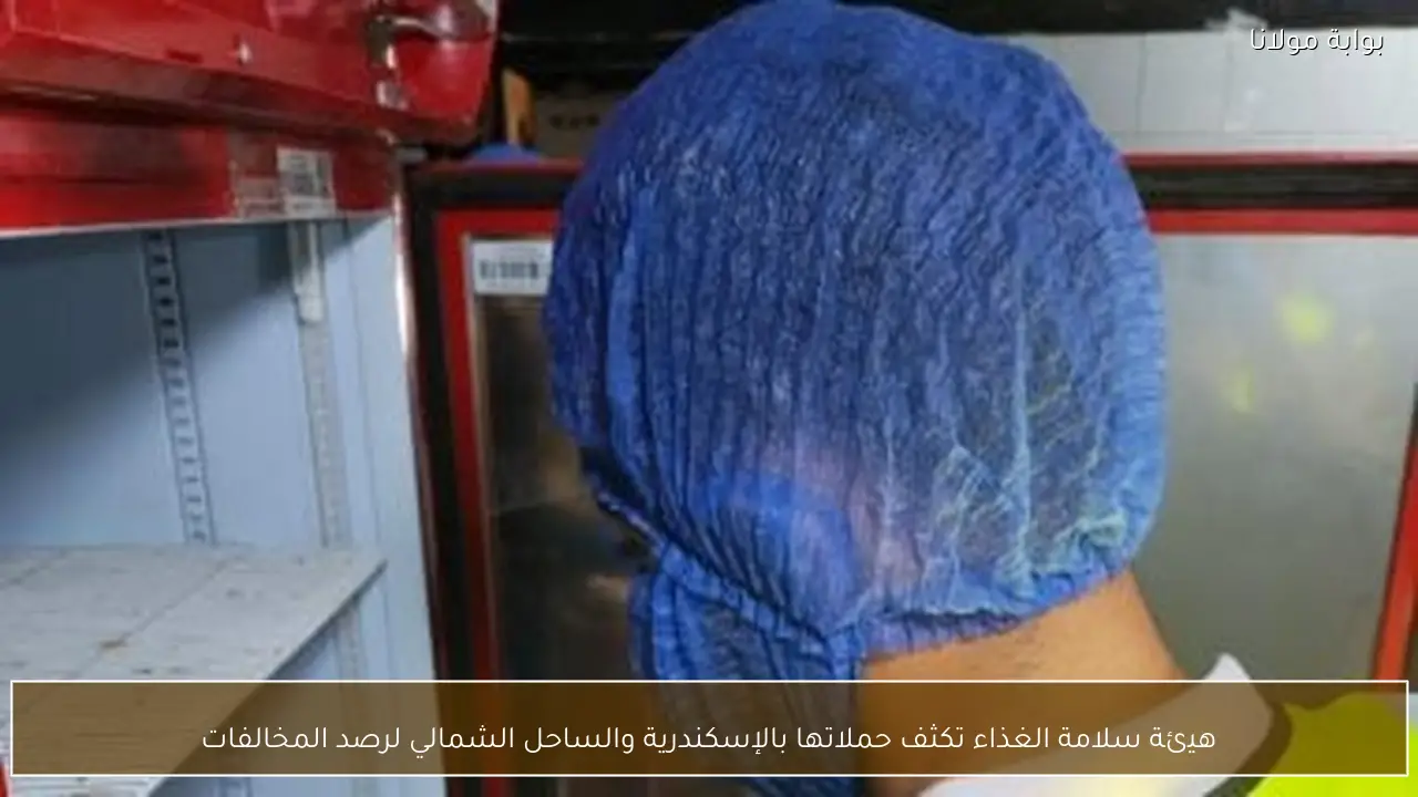 هيئة سلامة الغذاء تكثف حملاتها بالإسكندرية والساحل الشمالي لرصد المخالفات