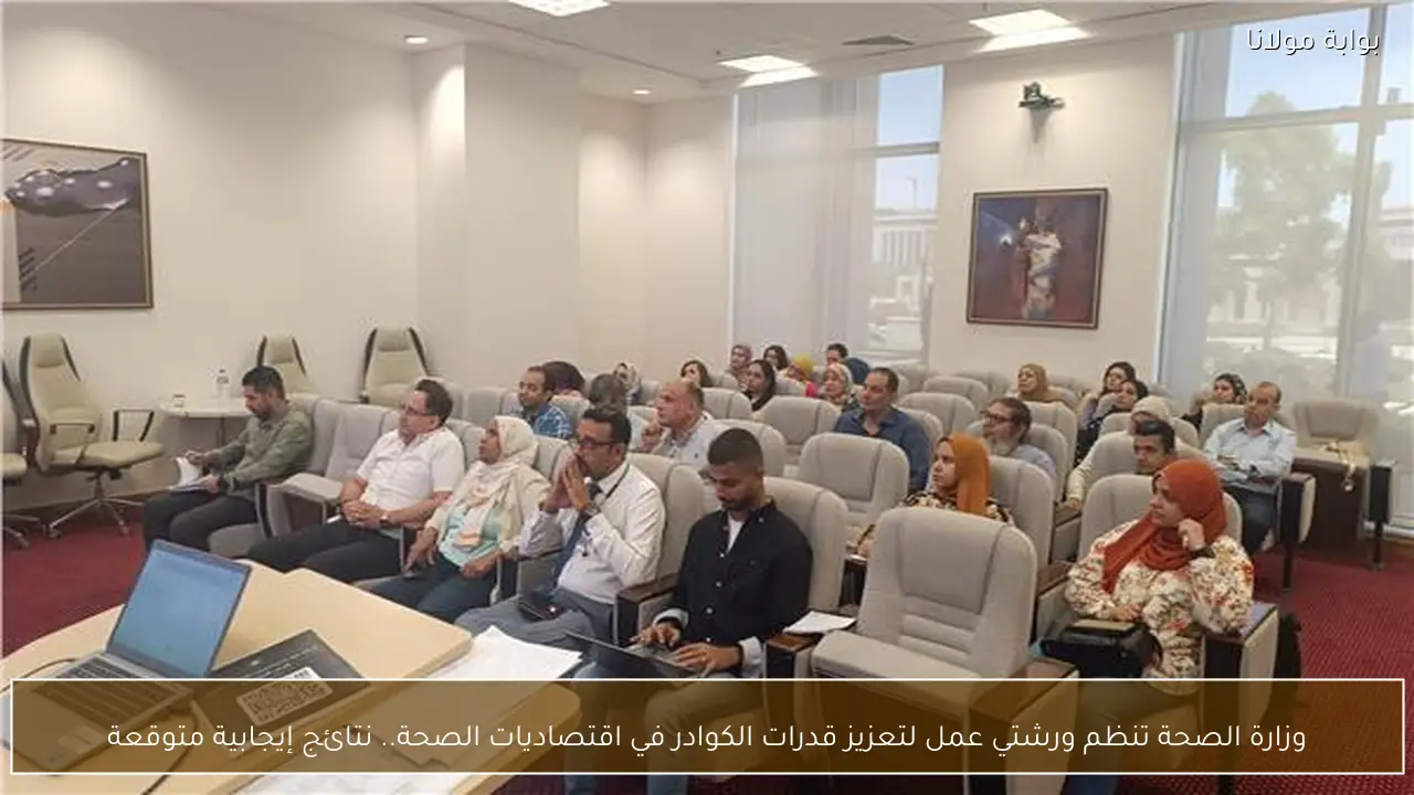 وزارة الصحة تنظم ورشتي عمل لتعزيز قدرات الكوادر في اقتصاديات الصحة.. نتائج إيجابية متوقعة