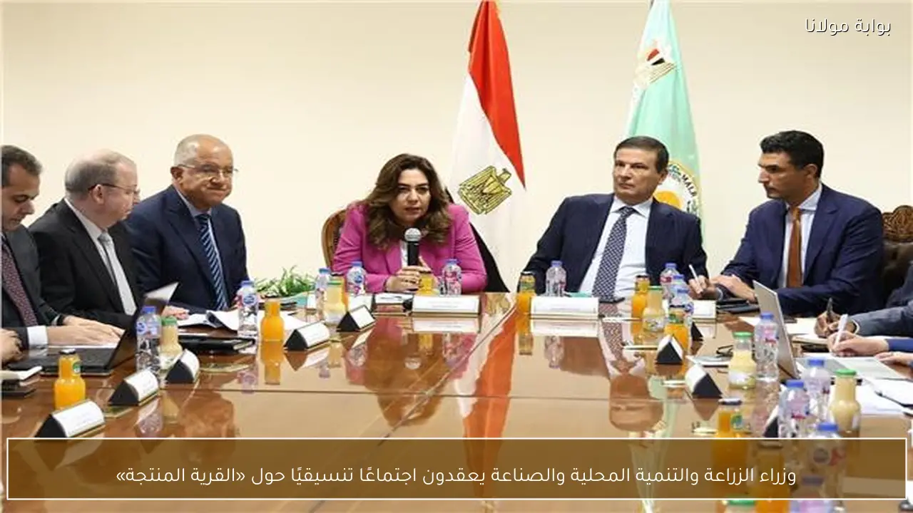 وزراء الزراعة والتنمية المحلية والصناعة يعقدون اجتماعًا تنسيقيًا حول «القرية المنتجة»