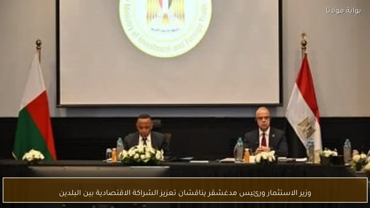 وزير الاستثمار ورئيس مدغشقر يناقشان تعزيز الشراكة الاقتصادية بين البلدين