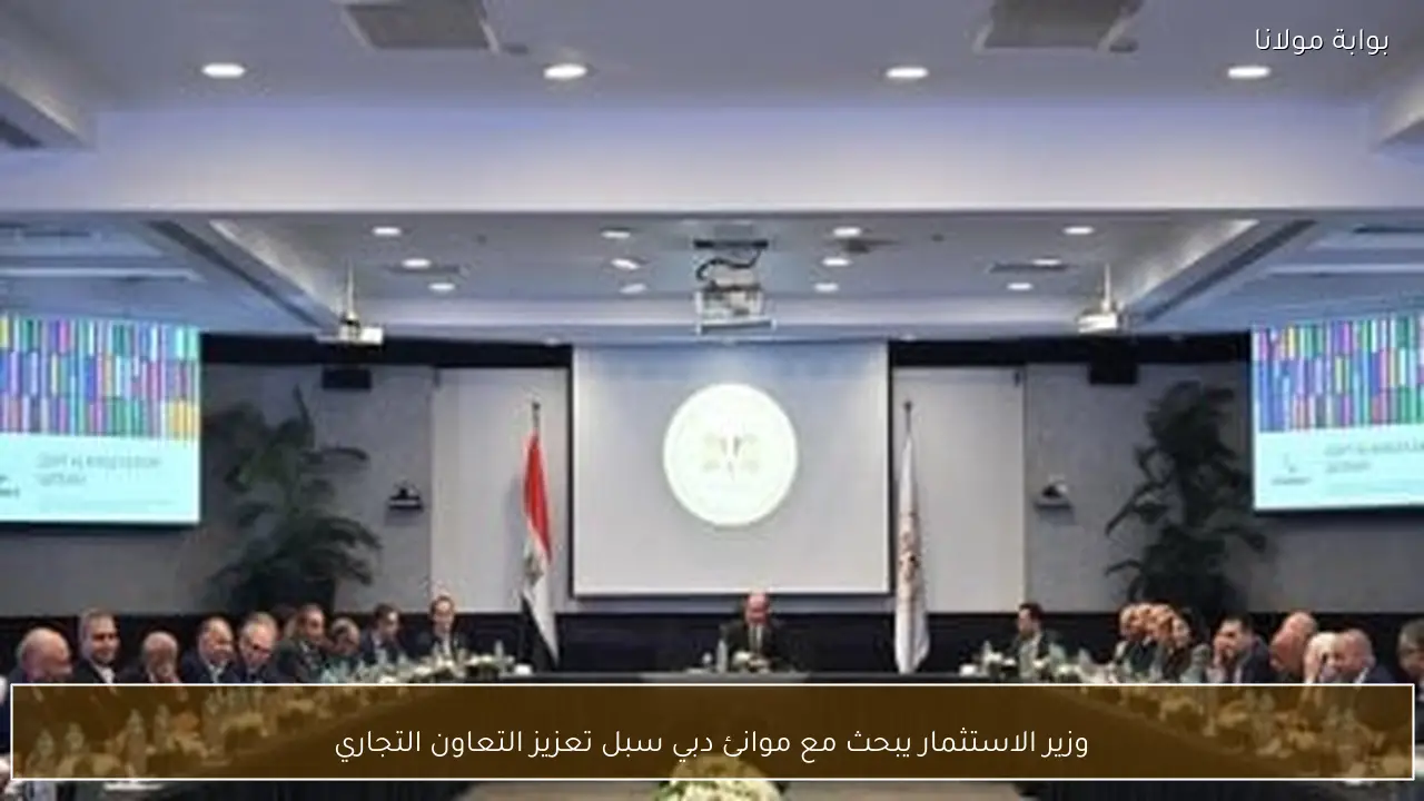 وزير الاستثمار يبحث مع موانئ دبي سبل تعزيز التعاون التجاري