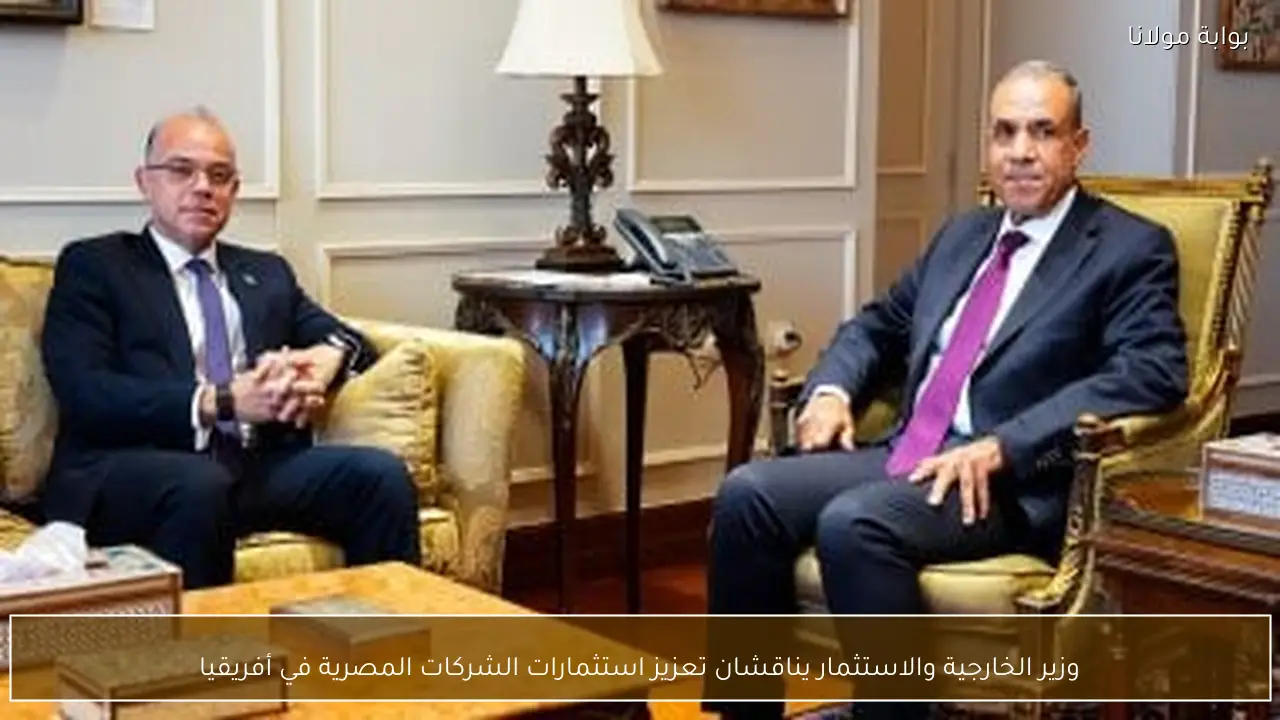 وزير الخارجية والاستثمار يناقشان تعزيز استثمارات الشركات المصرية في أفريقيا