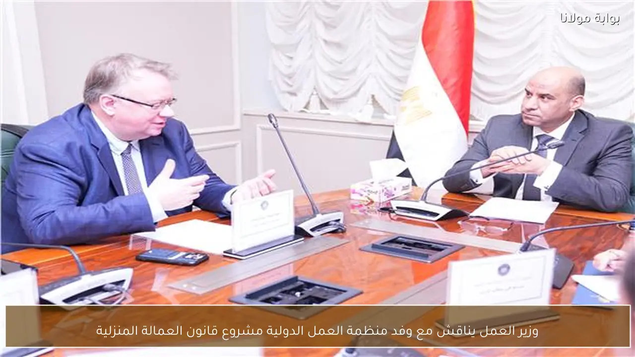 وزير العمل يناقش مع وفد منظمة العمل الدولية مشروع قانون العمالة المنزلية
