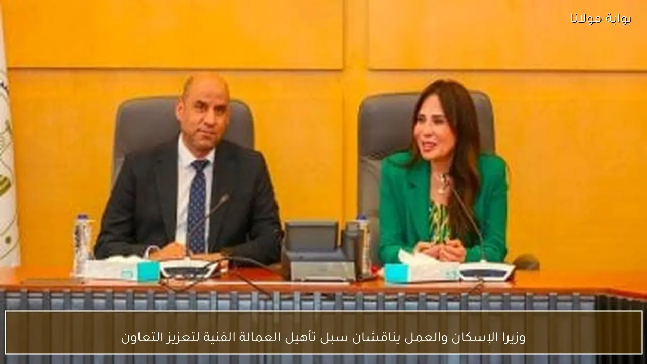 وزيرا الإسكان والعمل يناقشان سبل تأهيل العمالة الفنية لتعزيز التعاون