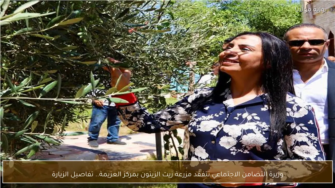 وزيرة التضامن الاجتماعي تتفقد مزرعة زيت الزيتون بمركز العزيمة.. تفاصيل الزيارة