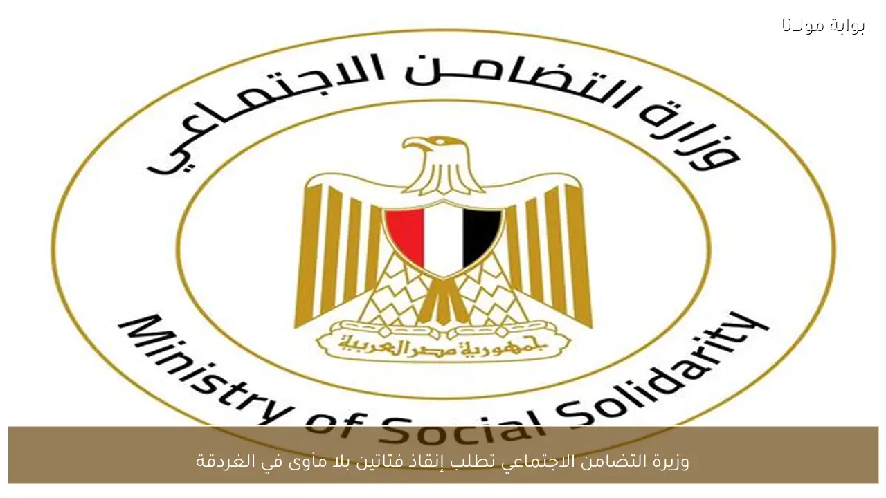 وزيرة التضامن الاجتماعي تطلب إنقاذ فتاتين بلا مأوى في الغردقة