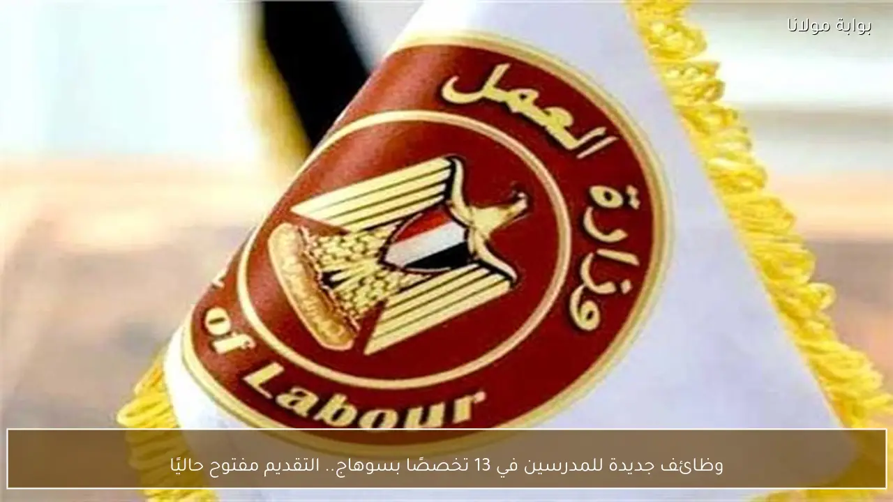 وظائف جديدة للمدرسين في 13 تخصصًا بسوهاج.. التقديم مفتوح حاليًا