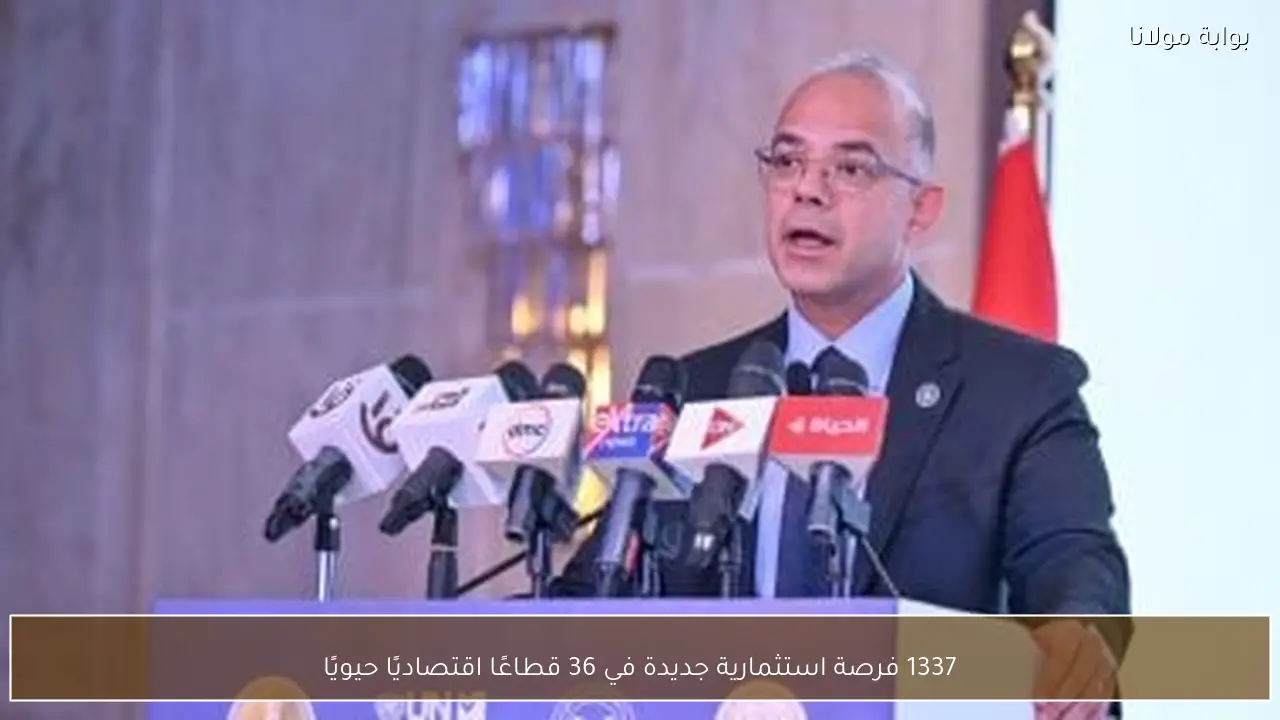 1337 فرصة استثمارية جديدة في 36 قطاعًا اقتصاديًا حيويًا
