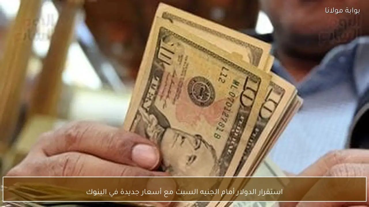 استقرار الدولار أمام الجنيه السبت مع أسعار جديدة في البنوك