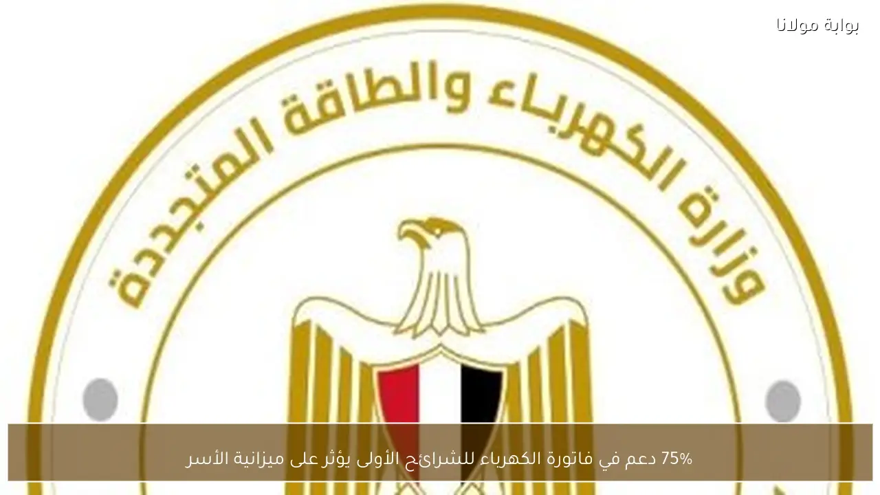 75% دعم في فاتورة الكهرباء للشرائح الأولى يؤثر على ميزانية الأسر