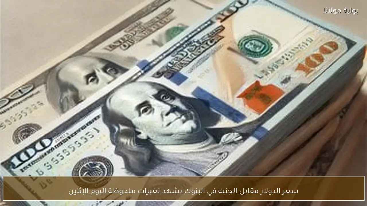 سعر الدولار مقابل الجنيه في البنوك يشهد تغيرات ملحوظة اليوم الإثنين