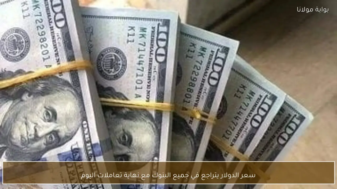 سعر الدولار يتراجع في جميع البنوك مع نهاية تعاملات اليوم
