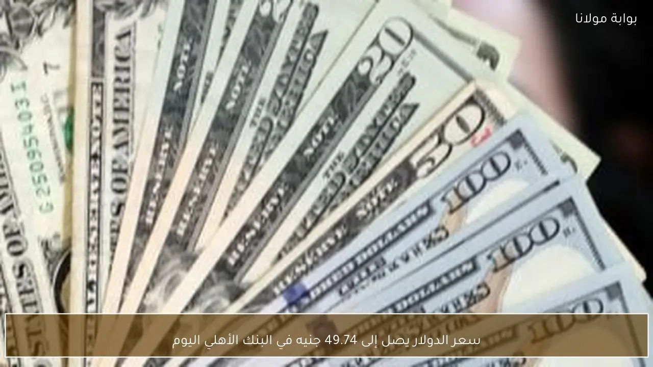سعر الدولار يصل إلى 49.74 جنيه في البنك الأهلي اليوم