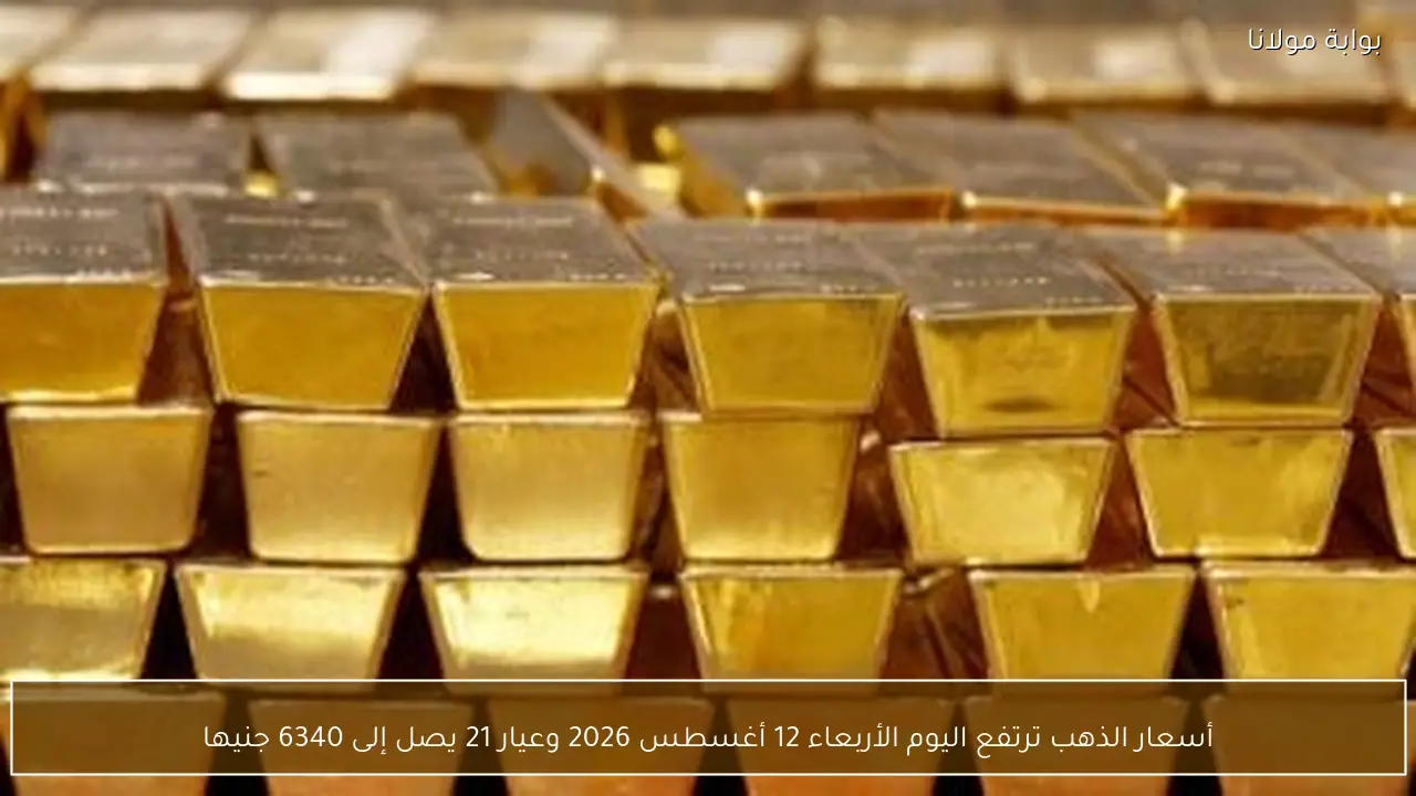 أسعار الذهب ترتفع اليوم الأربعاء 12 أغسطس 2026 وعيار 21 يصل إلى 6340 جنيها