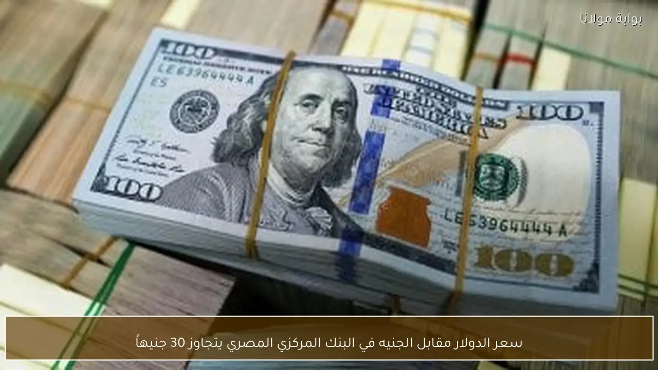 سعر الدولار مقابل الجنيه في البنك المركزي المصري يتجاوز 30 جنيهاً
