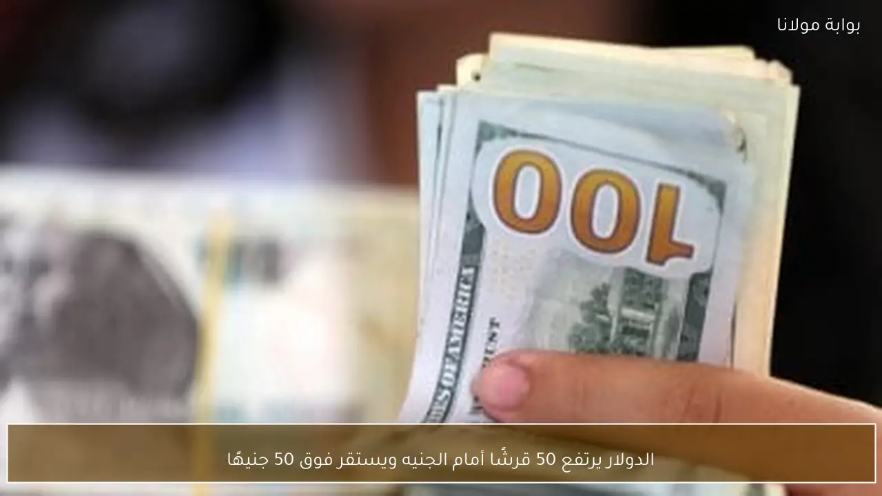الدولار يرتفع 50 قرشًا أمام الجنيه ويستقر فوق 50 جنيهًا